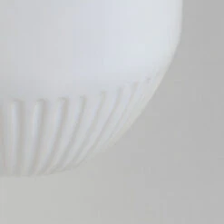 Tiger Wc-borstelset Ivy Chroom/wit -Tiger 123 3146