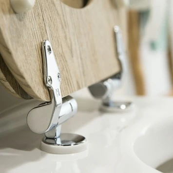 Tiger WC Bril Steigerhout Met Softclose 3 Tiger WC Bril Steigerhout Met Softclose - Afbeelding 3