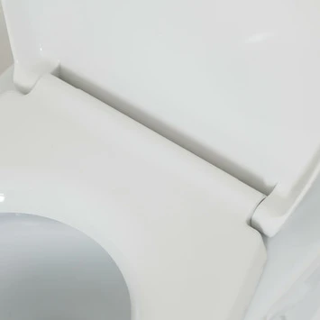 Tiger WC Bril Amadora Wit Kunststof Met Softclose 3 Tiger WC Bril Amadora Wit Kunststof Met Softclose - Afbeelding 3